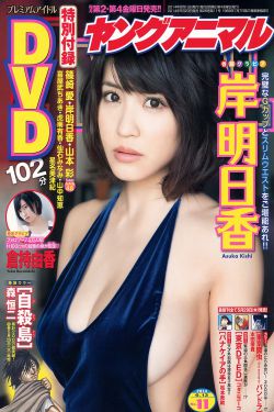 火线三兄弟演员表